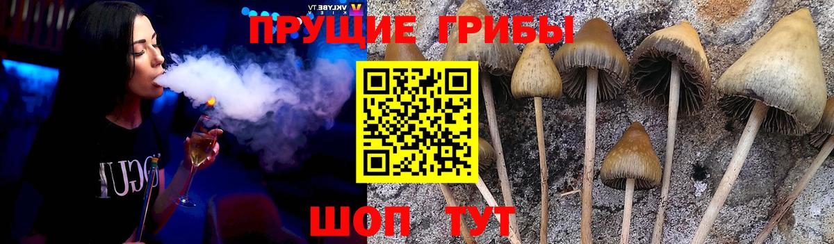 Галлюциногенные грибы мицелий Богородск