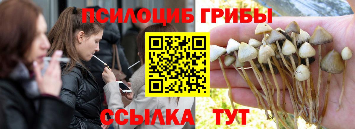 Богородск  Псилоцибиновые грибы прущие грибы  Вход с VPN 